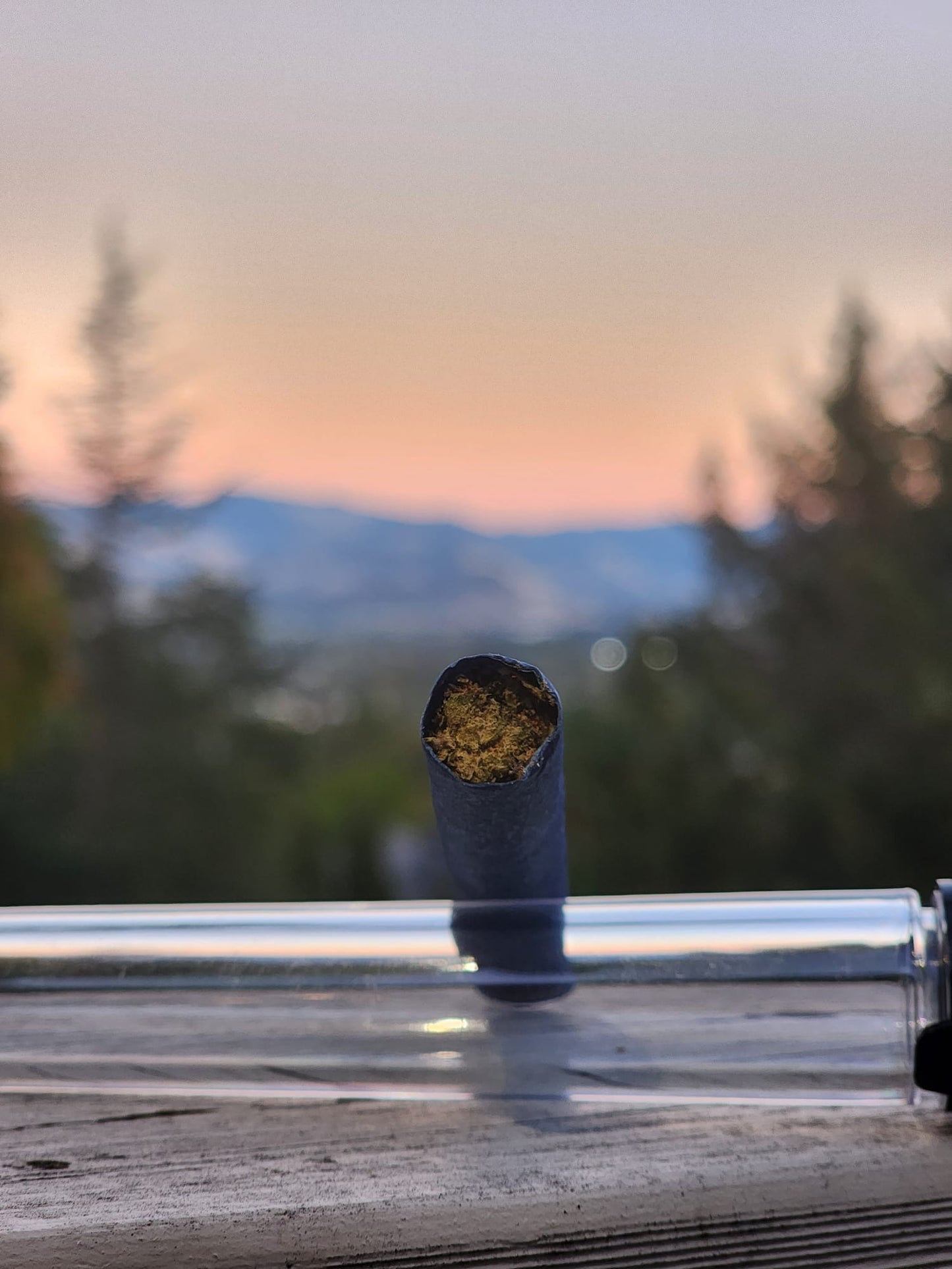 Exotic 300mg THCA Blunt – The Hemp Center